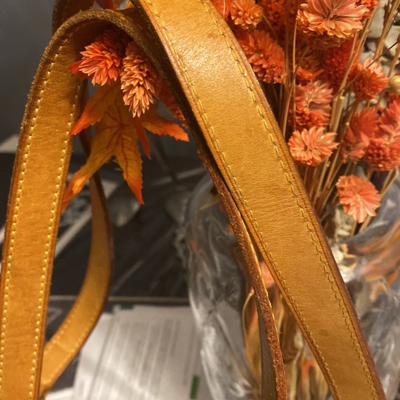 LOUIS VUITTON Stresa PM BEAUTIFUL! - Picture 6 of 16